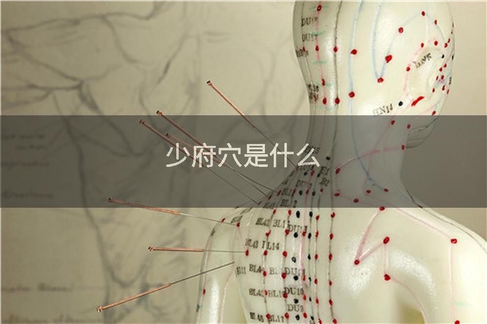 少府穴是什么