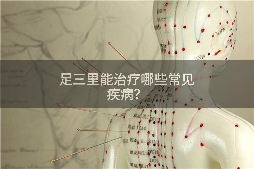 足三里能治疗哪些常见疾病？