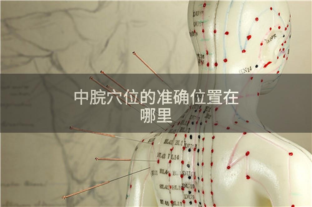 中脘穴位的准确位置在哪里