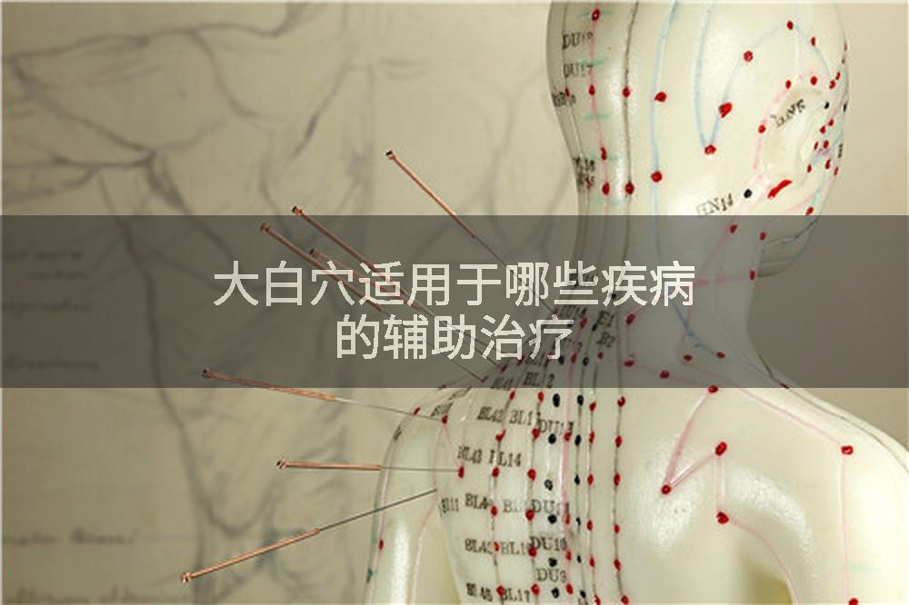 大白穴适用于哪些疾病的辅助治疗