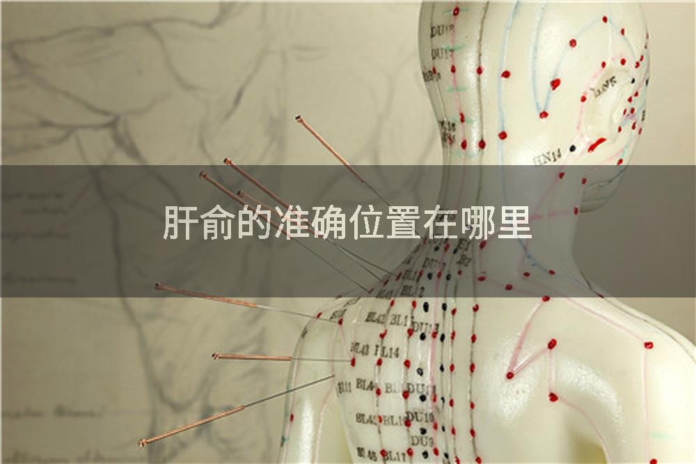 肝俞的准确位置在哪里