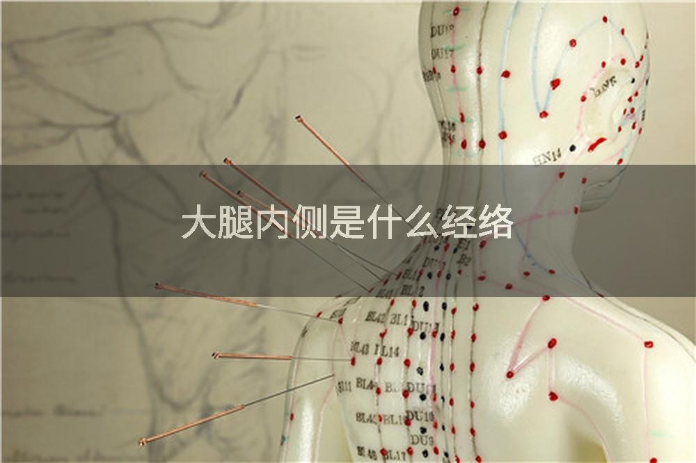 大腿内侧是什么经络