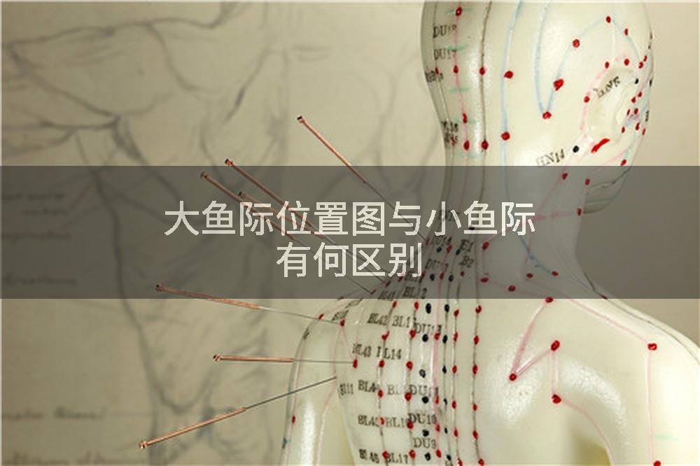 大鱼际位置图与小鱼际有何区别