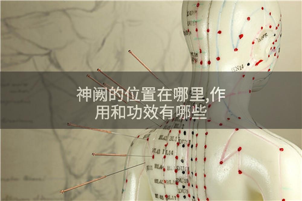 神阙的位置在哪里,作用和功效有哪些