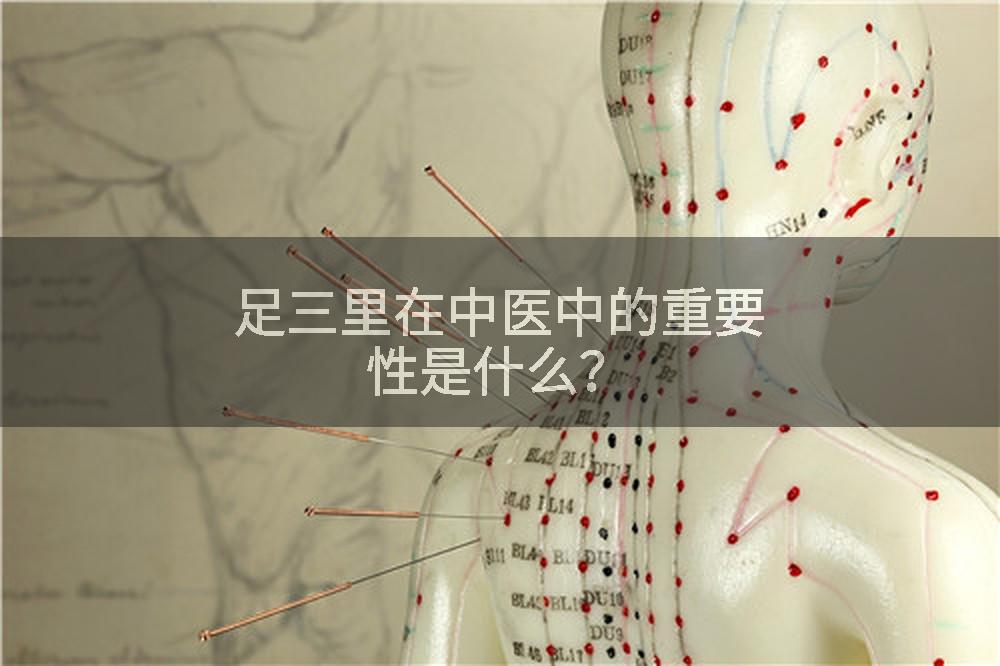 足三里在中医中的重要性是什么？