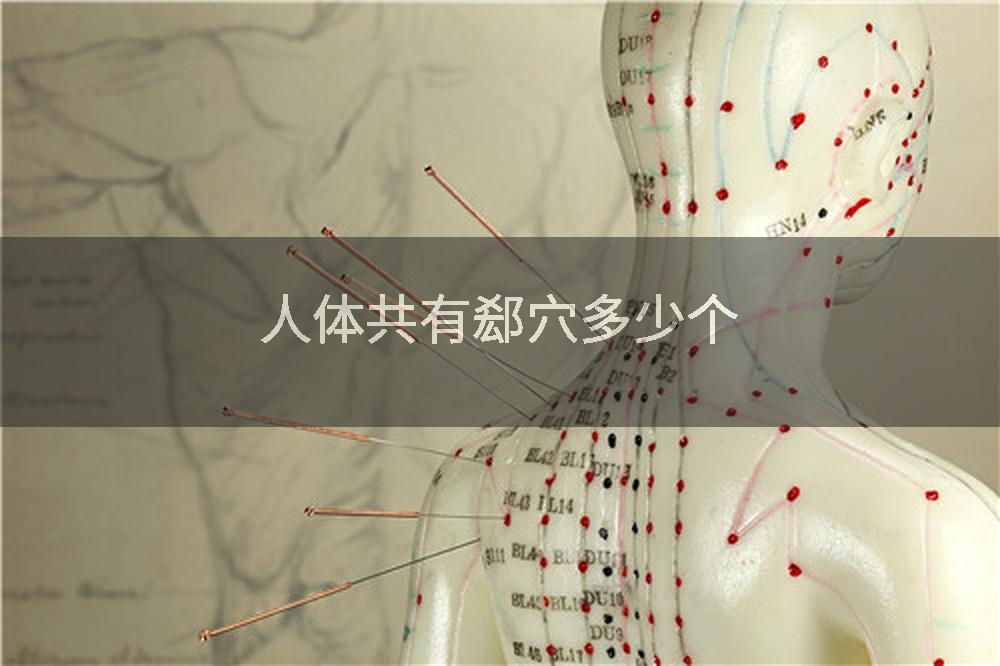 人体共有郄穴多少个