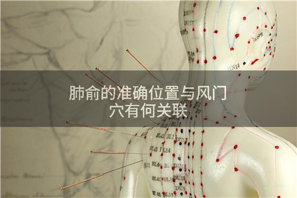 肺俞的准确位置与风门穴有何关联