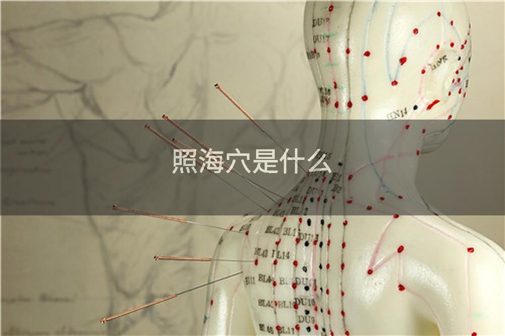 照海穴是什么