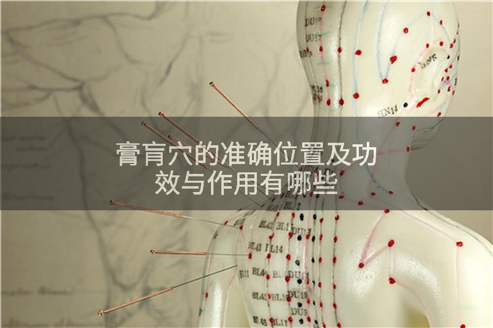 膏肓穴的准确位置及功效与作用有哪些