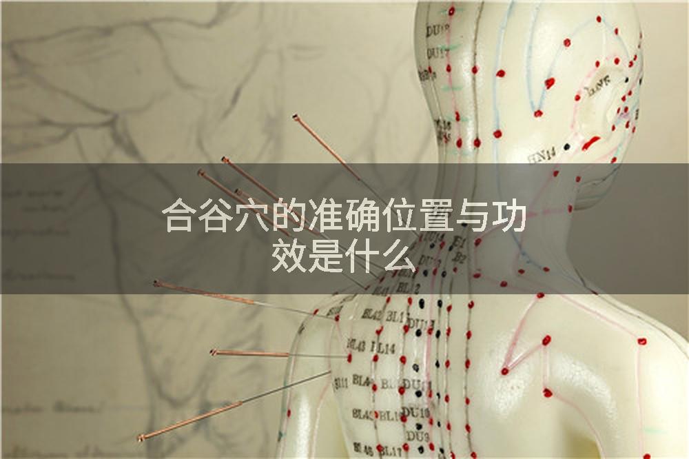 合谷穴的准确位置与功效是什么
