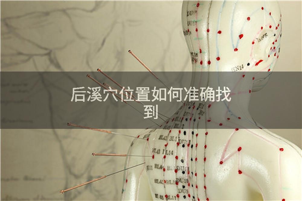 后溪穴位置如何准确找到