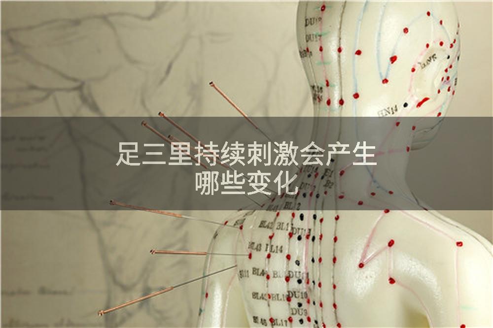 足三里持续刺激会产生哪些变化