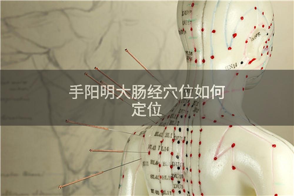 手阳明大肠经穴位如何定位