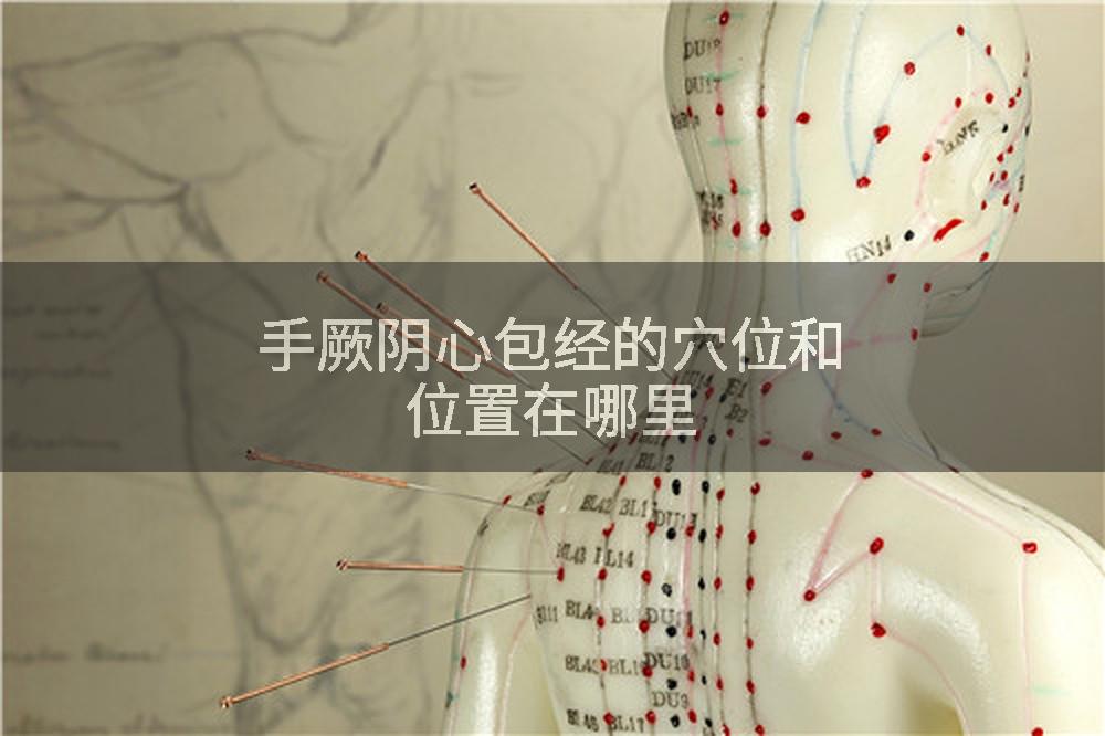 手厥阴心包经的穴位和位置在哪里