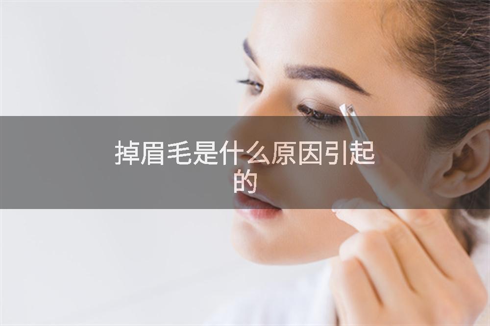 掉眉毛是什么原因引起的