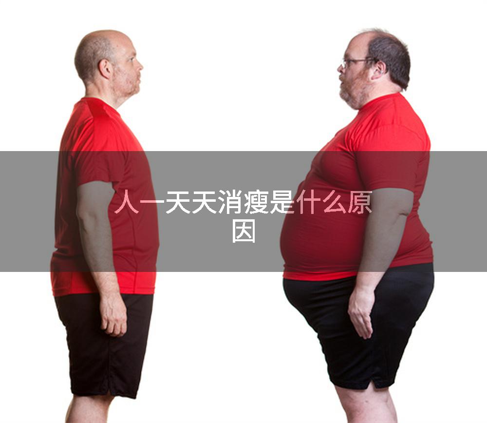人一天天消瘦是什么原因