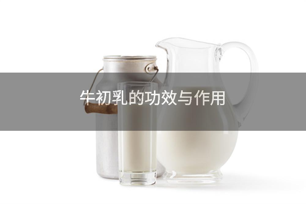 牛初乳的功效与作用