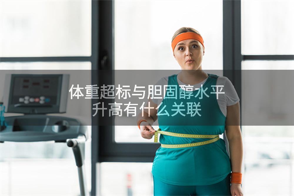 体重超标与胆固醇水平升高有什么关联
