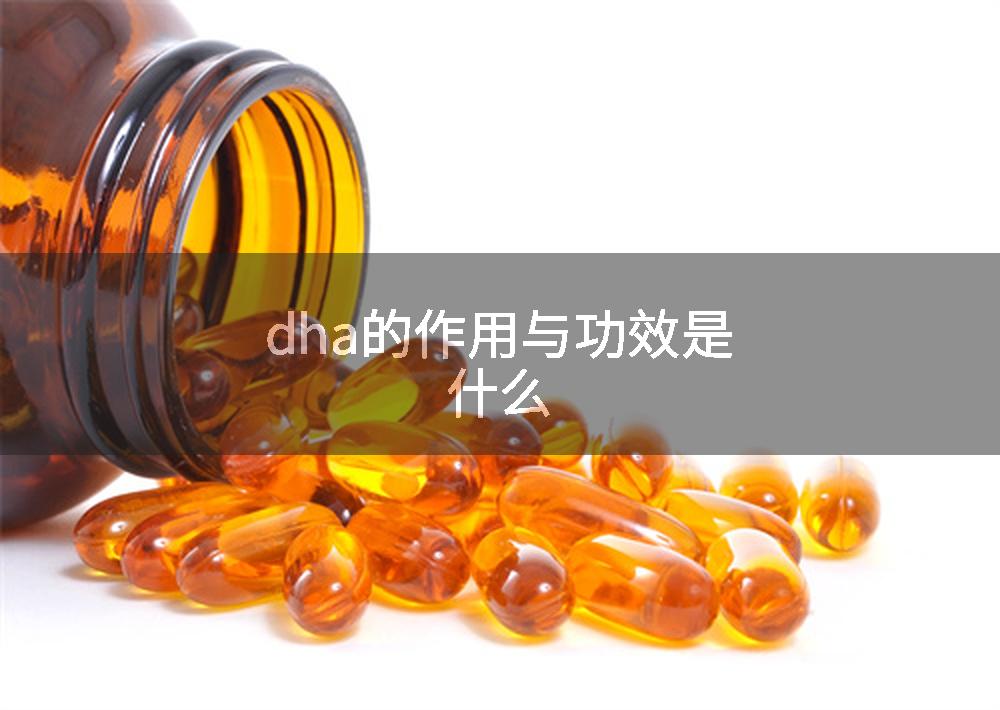dha的作用与功效是什么