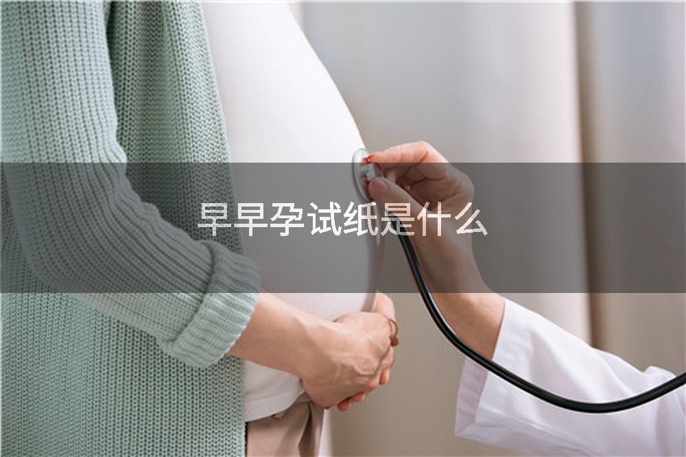 早早孕试纸是什么