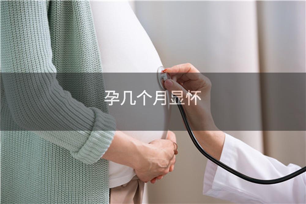 孕几个月显怀