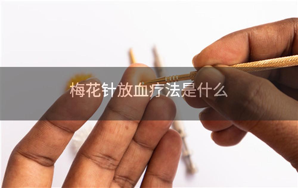 梅花针放血疗法是什么