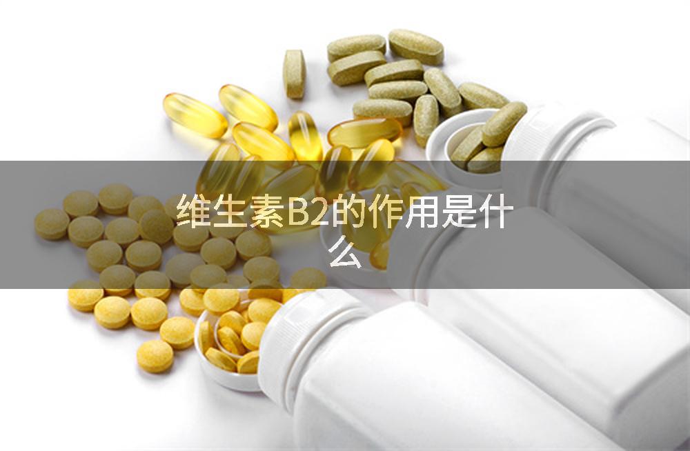 维生素B2的作用是什么