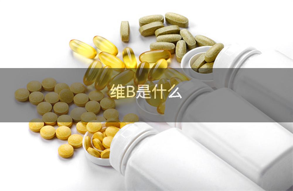 维B是什么