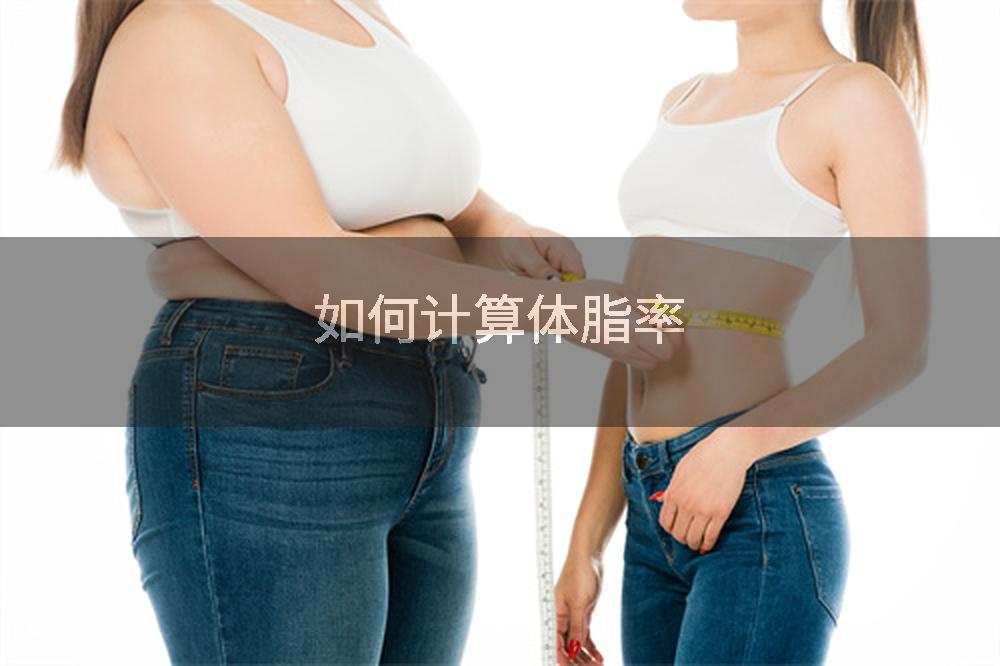 如何计算体脂率