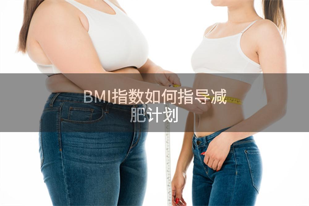 BMI指数如何指导减肥计划