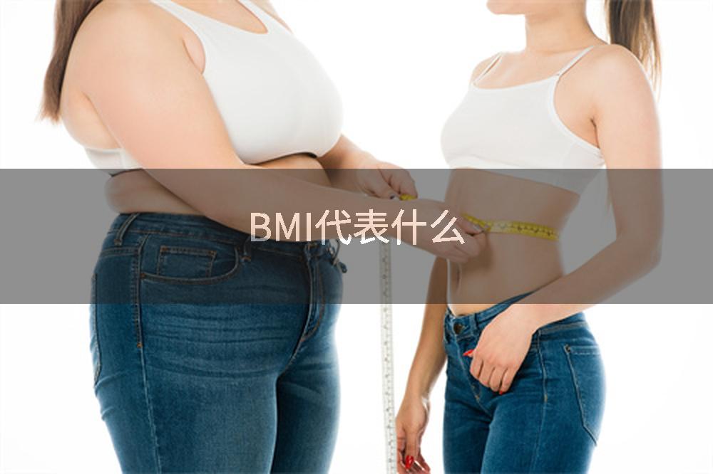 BMI代表什么