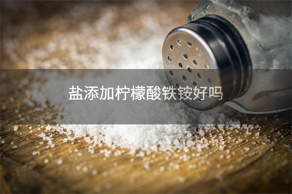 盐添加柠檬酸铁铵好吗