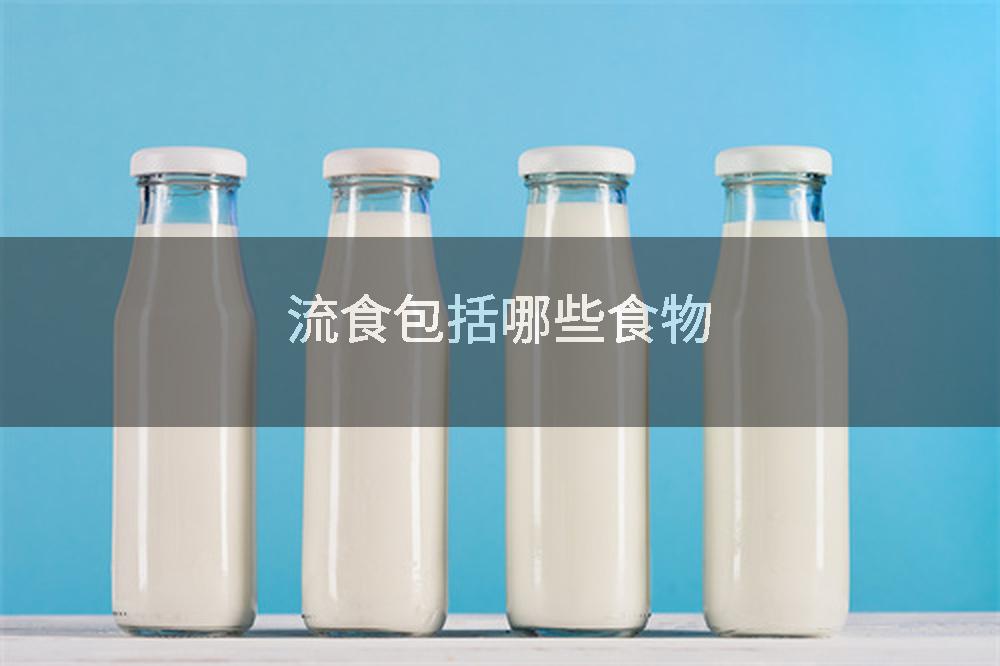 流食包括哪些食物