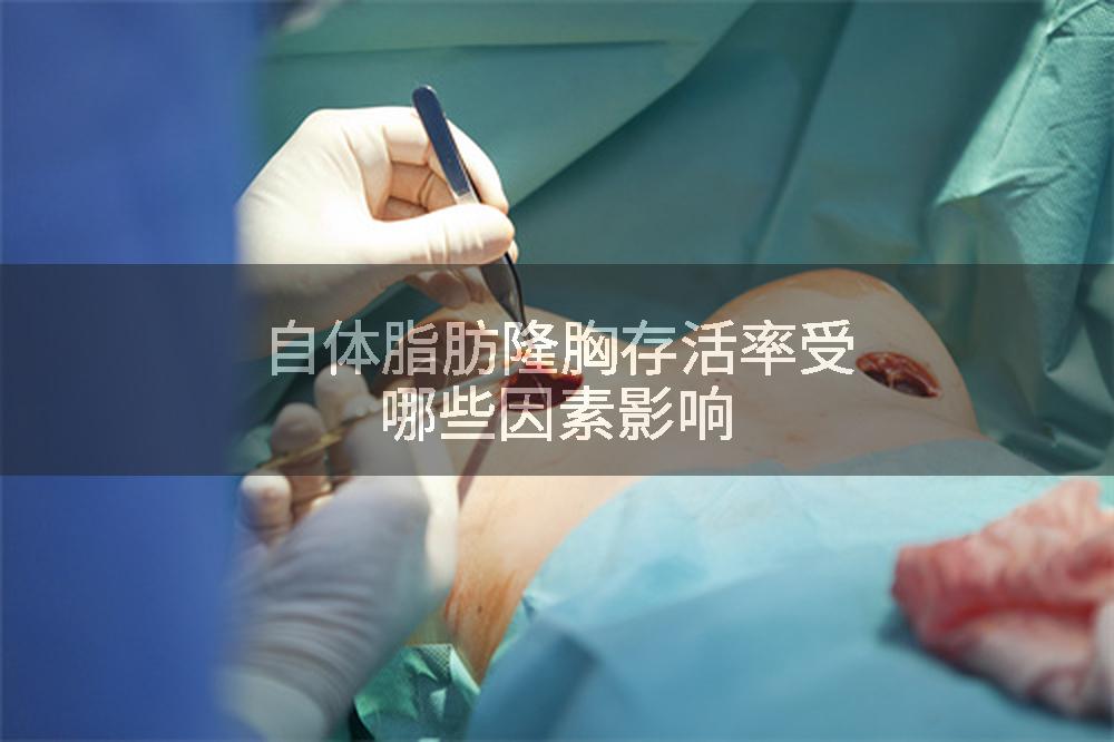 自体脂肪隆胸存活率受哪些因素影响