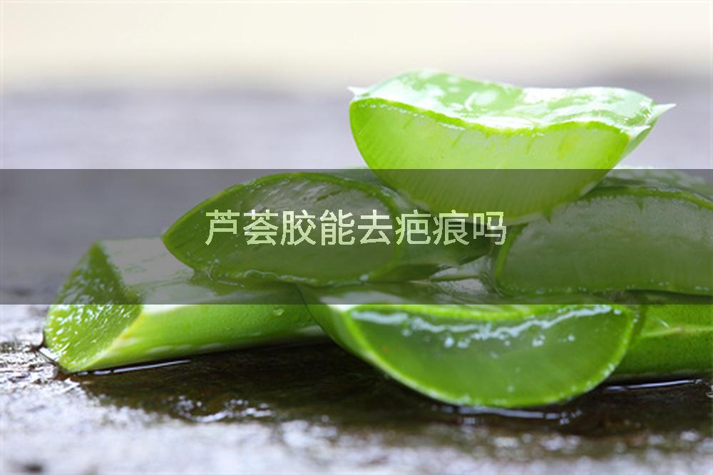 芦荟胶能去疤痕吗