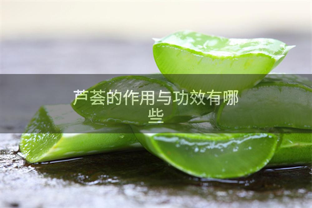 芦荟的作用与功效有哪些