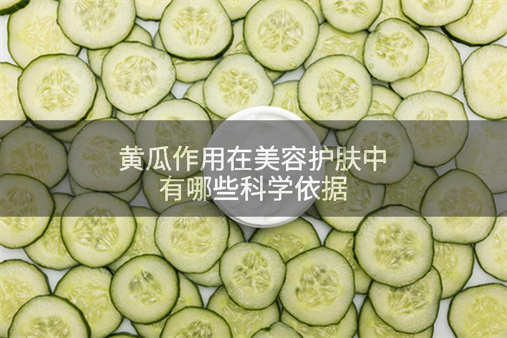 黄瓜作用在美容护肤中有哪些科学依据