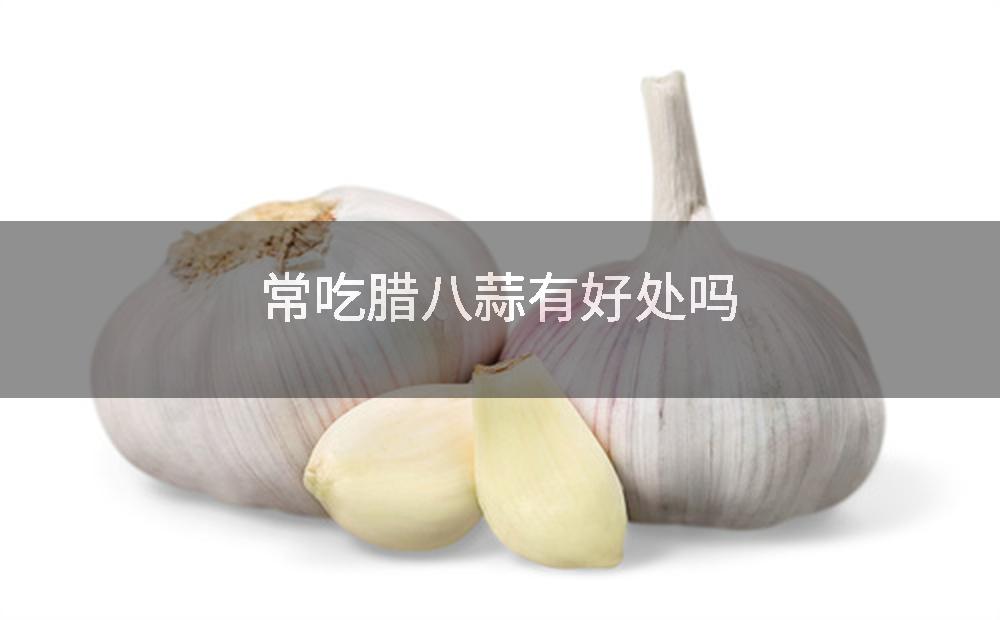常吃腊八蒜有好处吗