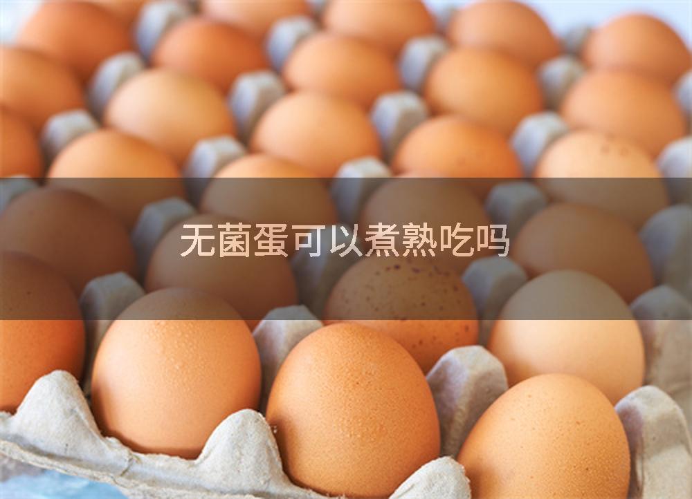 无菌蛋可以煮熟吃吗