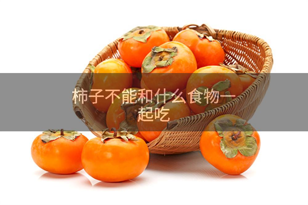 柿子不能和什么食物一起吃