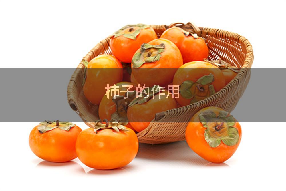 柿子的作用