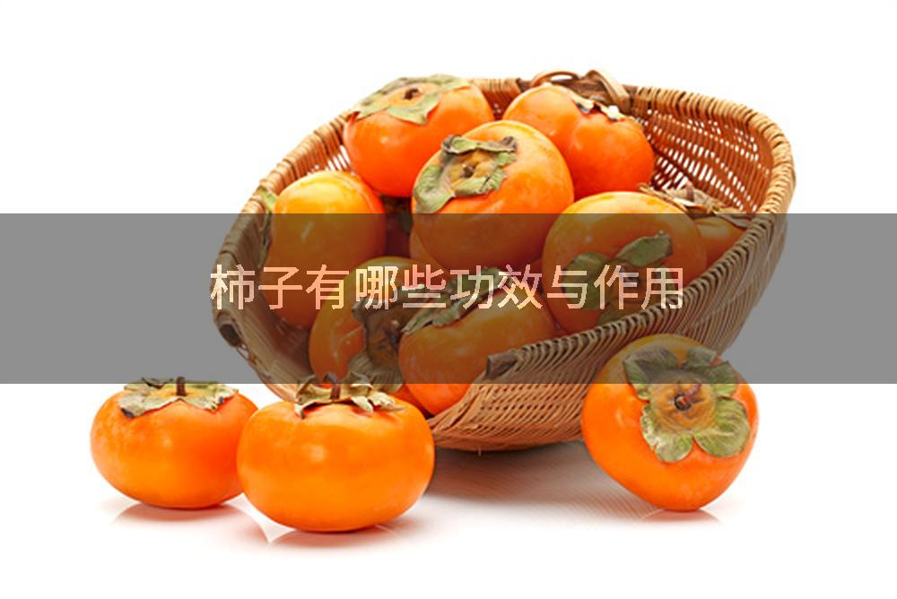 柿子有哪些功效与作用