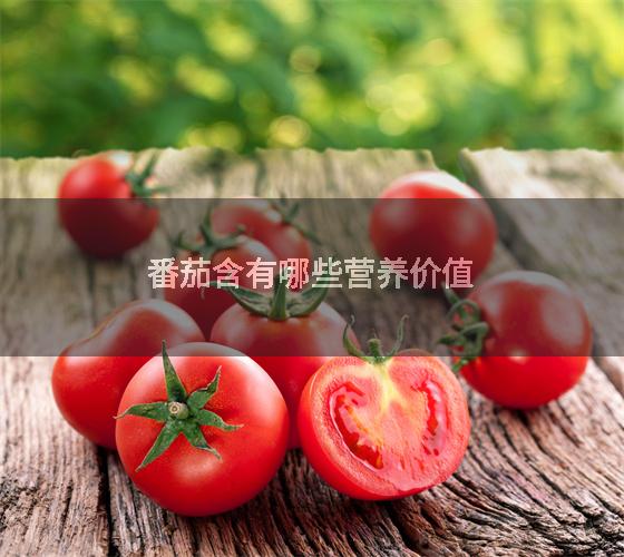 番茄含有哪些营养价值