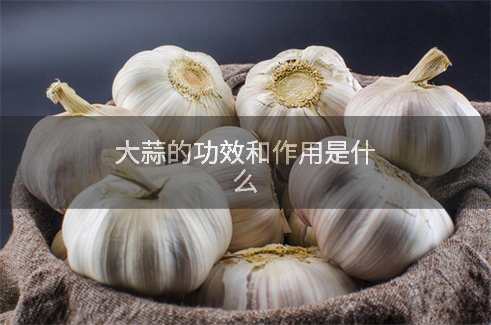 大蒜的功效和作用是什么