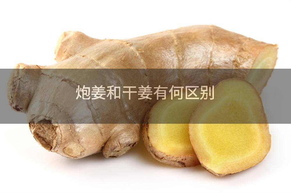 炮姜和干姜有何区别