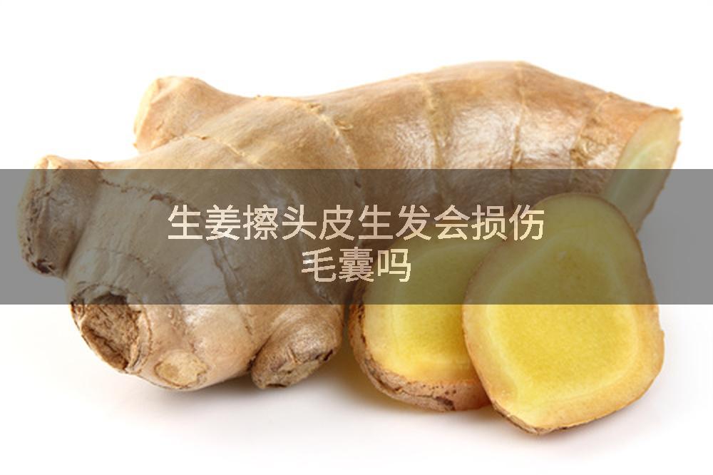 生姜擦头皮生发会损伤毛囊吗
