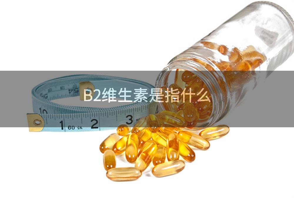 B2维生素是指什么