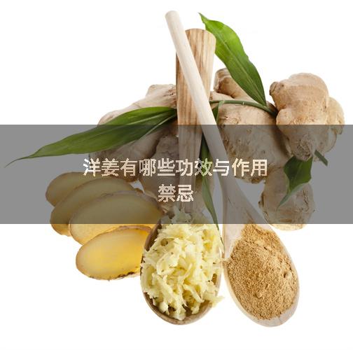 洋姜有哪些功效与作用禁忌