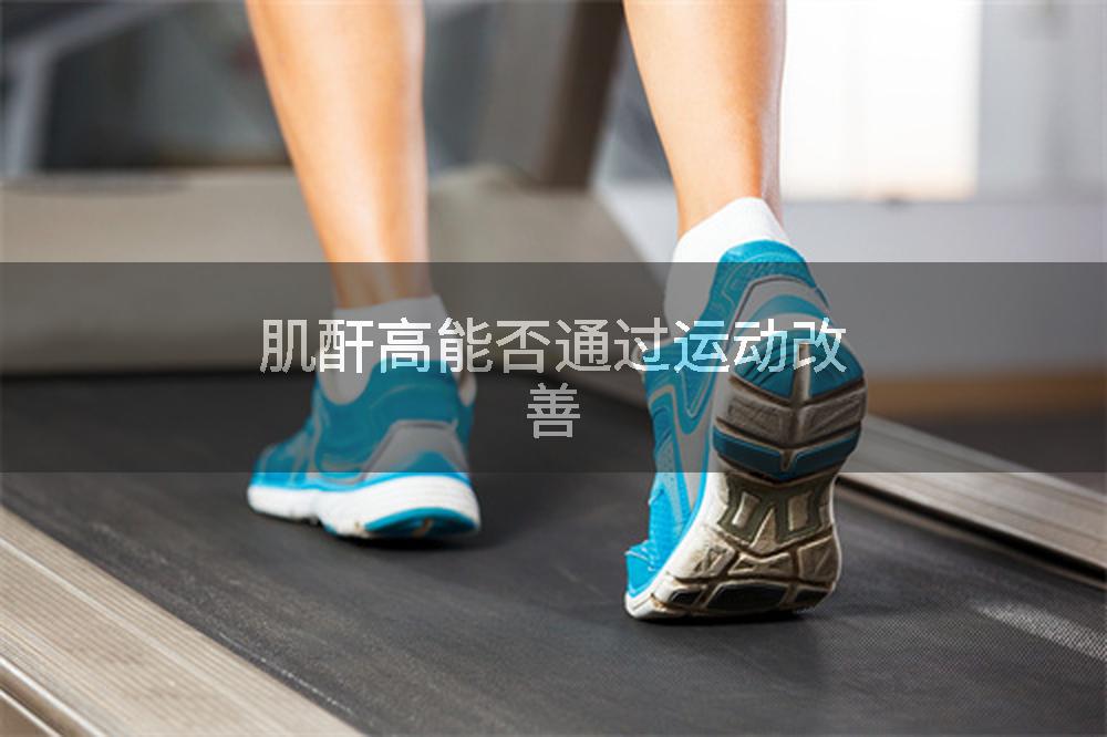 肌酐高能否通过运动改善