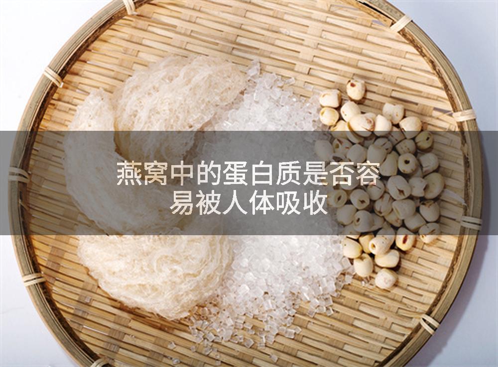 燕窝中的蛋白质是否容易被人体吸收